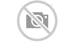 GRAN SUBASTA GRUPO BARTOLOME